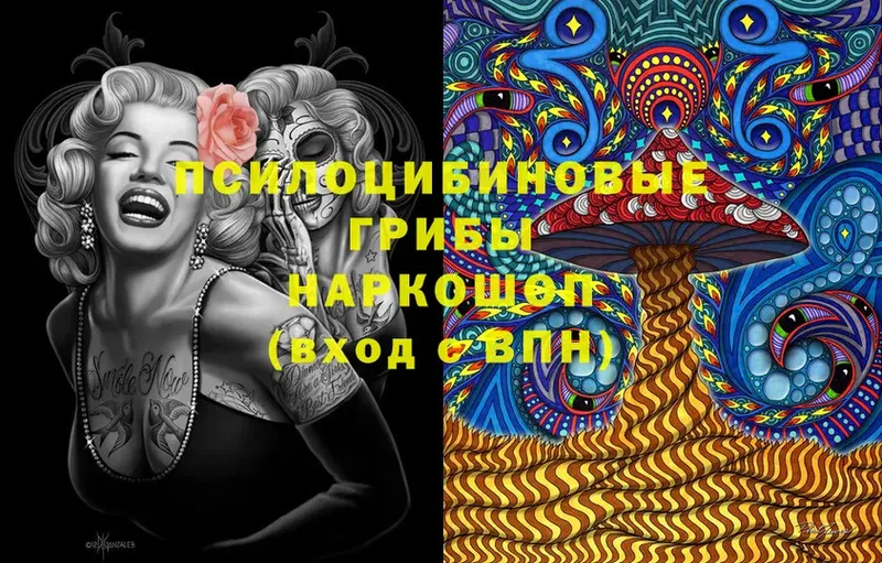 Галлюциногенные грибы Psilocybe  OMG ссылка  Заречный 